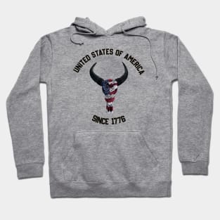 American skull Hoodie